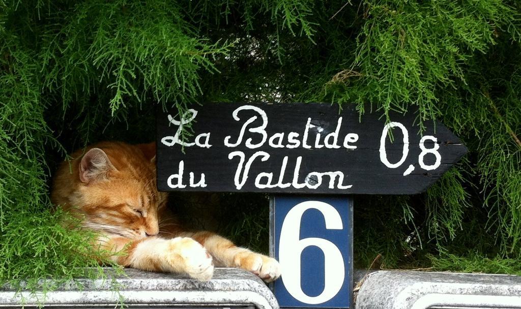 La Bastide Du Vallon Guest House Saumane-de-Vaucluse ภายนอก รูปภาพ