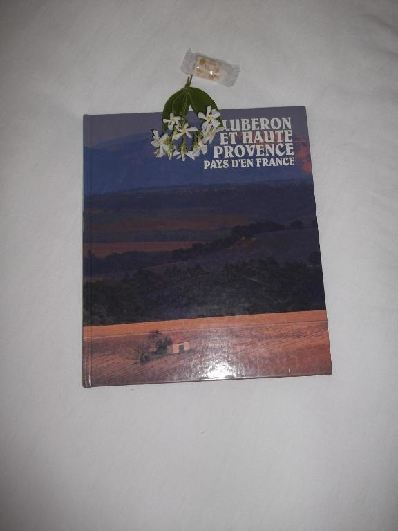 La Bastide Du Vallon Guest House Saumane-de-Vaucluse ห้อง รูปภาพ