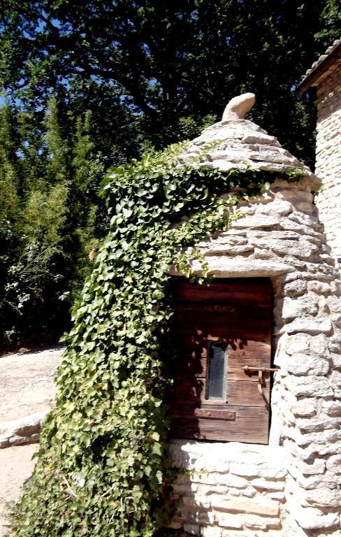 La Bastide Du Vallon Guest House Saumane-de-Vaucluse ภายนอก รูปภาพ