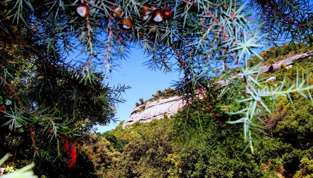 La Bastide Du Vallon Guest House Saumane-de-Vaucluse ภายนอก รูปภาพ